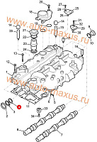 схема Шайба  для LDV Maxus, LD 100